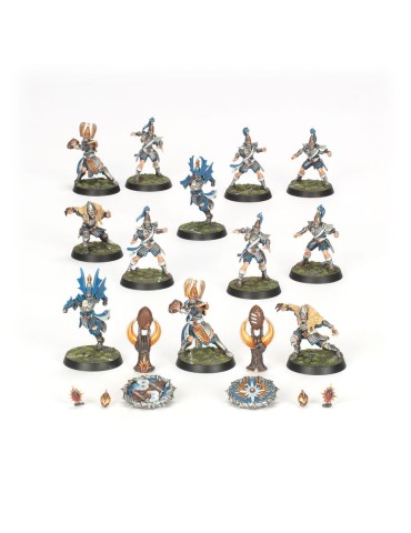 Equipo High Elf de Blood Bowl: The Caledor Dragons