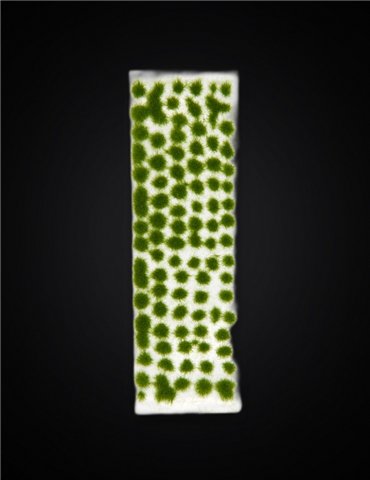 Dark Green Tufts 2mm