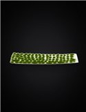 Dark Green Tufts 2mm