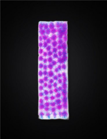 Purple-Pink Tufts 4,5mm
