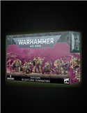 Blightlord Terminators