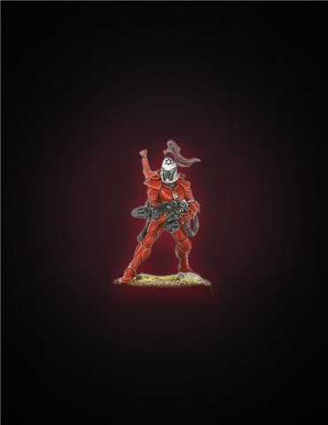 Guardianes de Asalto