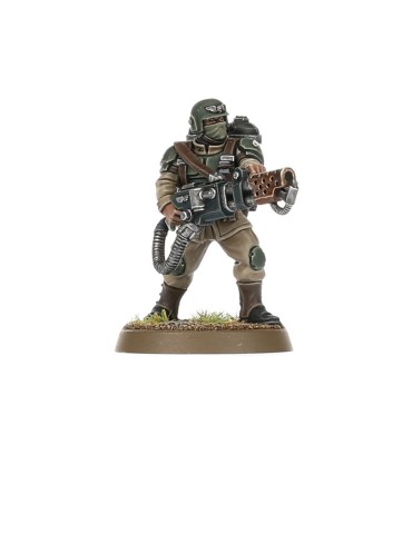Astra militarum: Tropas de Choque de Cadia
