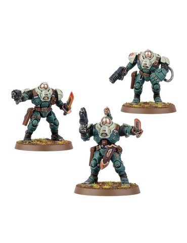 Acerobreros Ferrofamiliares